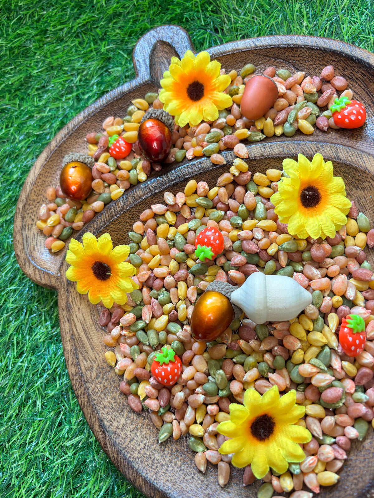 Squirrel Soup Sensory Kit Preschool Fall Fine Motor Activity