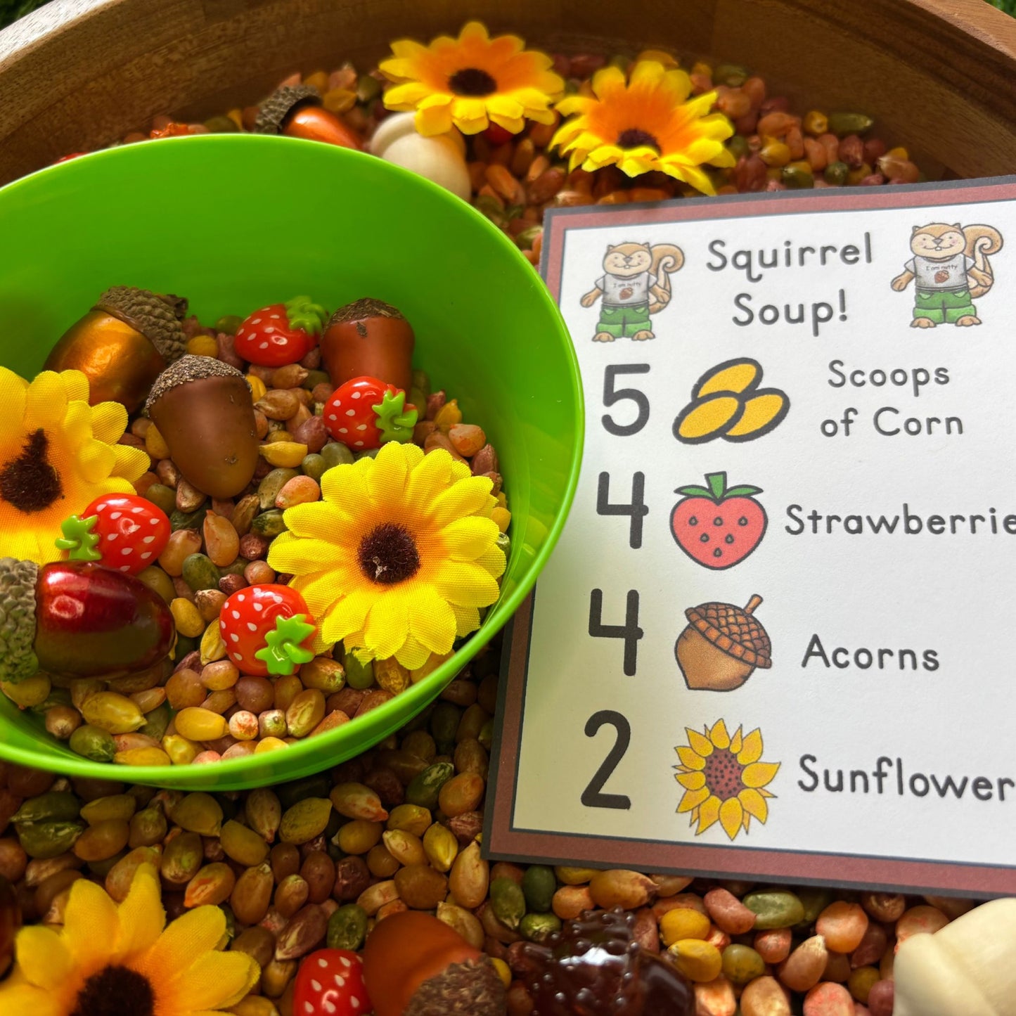 Squirrel Soup Sensory Bin Recipe Cards | Printable PDF