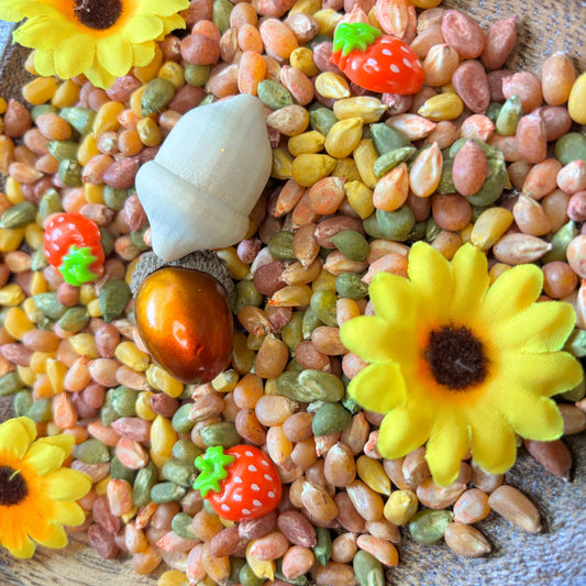 Squirrel Soup Sensory Kit Preschool Fall Fine Motor Activity