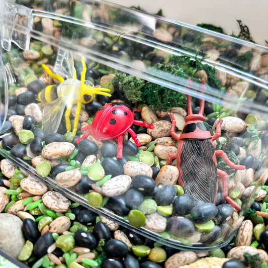 Bug Hunt Sensory Kit | Preschool Nature Sensory Bin | Fine Motor & Counting Activity