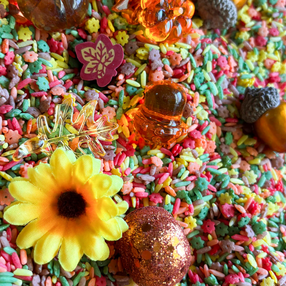 Fall Harvest Scoop & Play Sensory Mix
