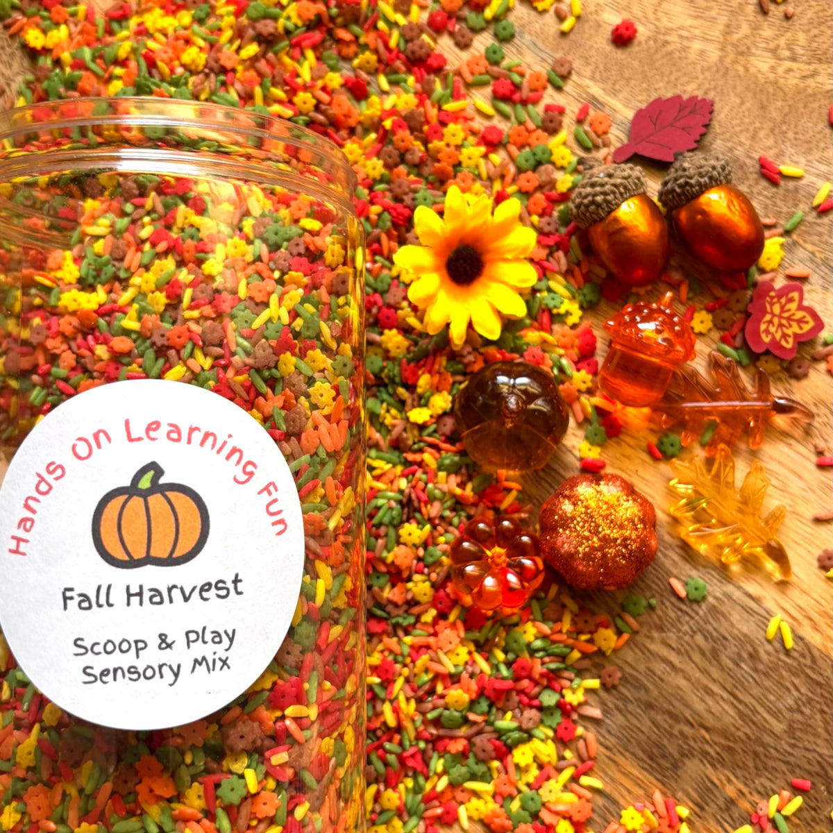 Fall Harvest Scoop & Play Sensory Mix