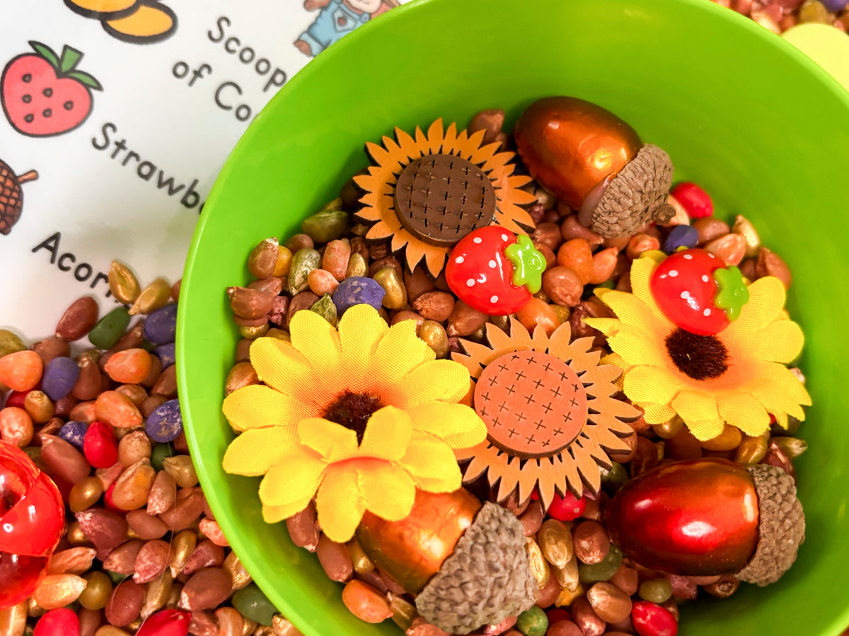 Squirrel Soup Sensory Kit Preschool Fall  Fine Motor Activity