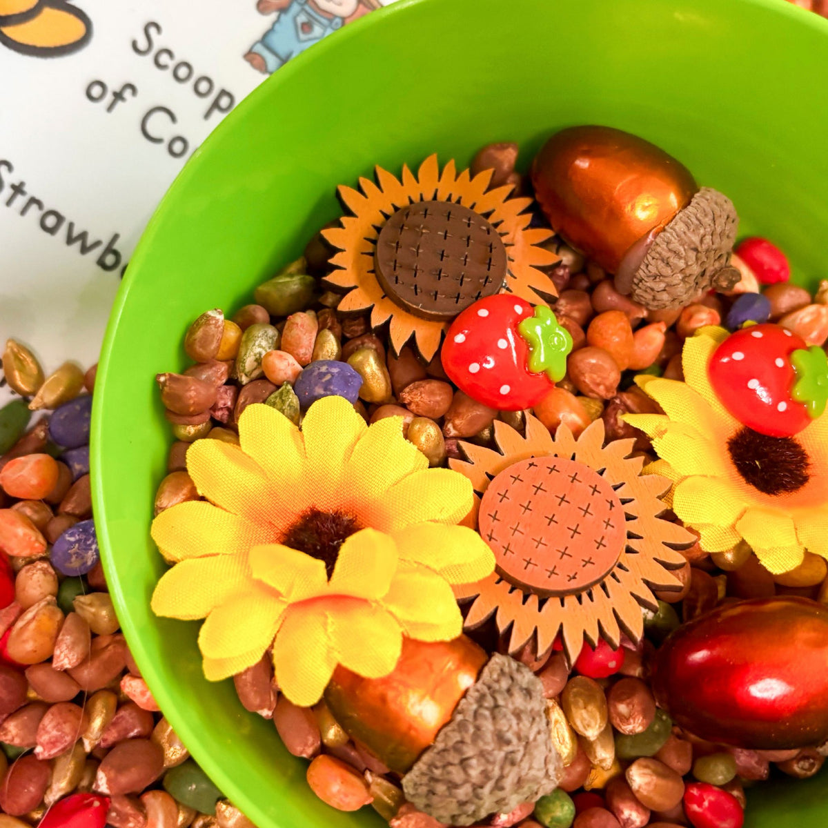 September Spotlight: Fall Sensory Play & Learning Kit