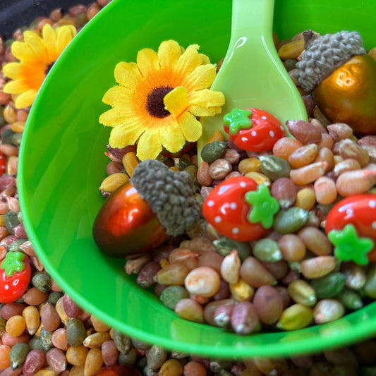 Squirrel Soup Sensory Kit | Preschool Fall Sensory Bin | Fine Motor & Counting Activity