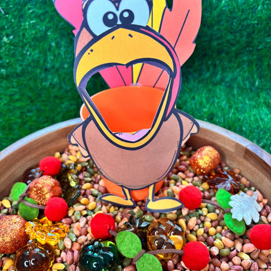 Feed the Turkey Sensory Kit | Preschool Fall Sensory Bin | Fine Motor & Counting Activity
