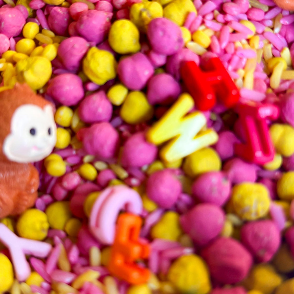 Coconut Cafe Sensory Kit | Alphabet & Pretend Play