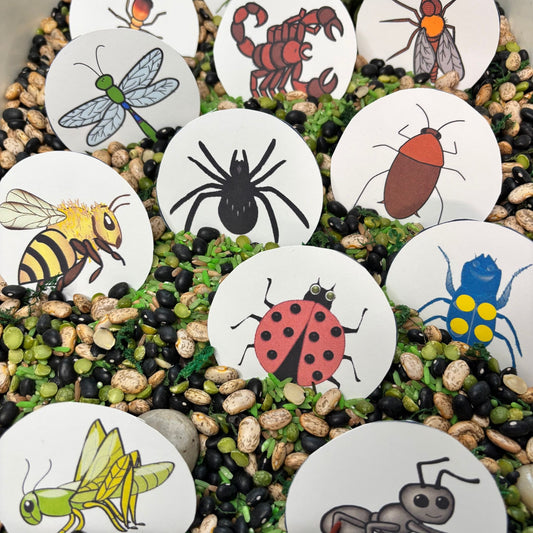 Bug Hunt Activity Cards – Preschool Counting Sensory Activity