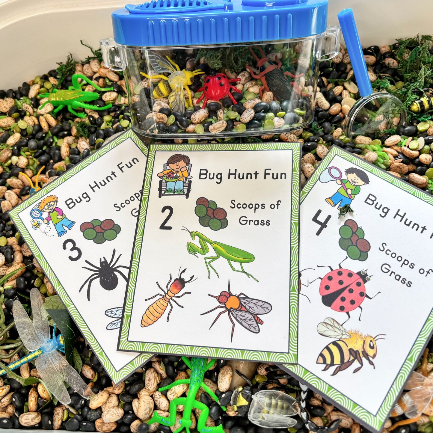 Bug Hunt Sensory Bin Activity Cards | Printable Bug Search Game | Preschool Nature Learning PDF