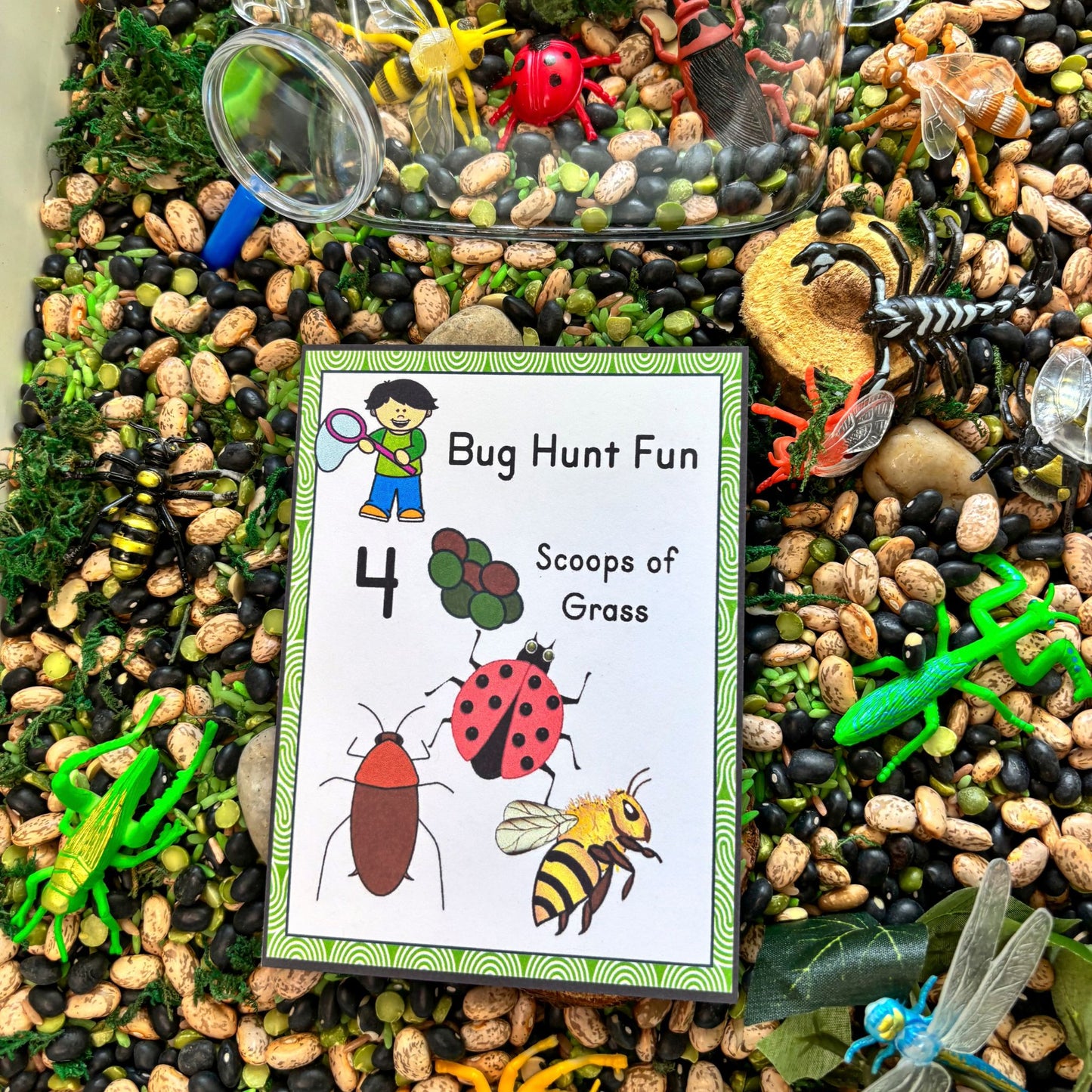 Bug Hunt Sensory Bin Activity Cards | Printable Bug Search Game | Preschool Nature Learning PDF