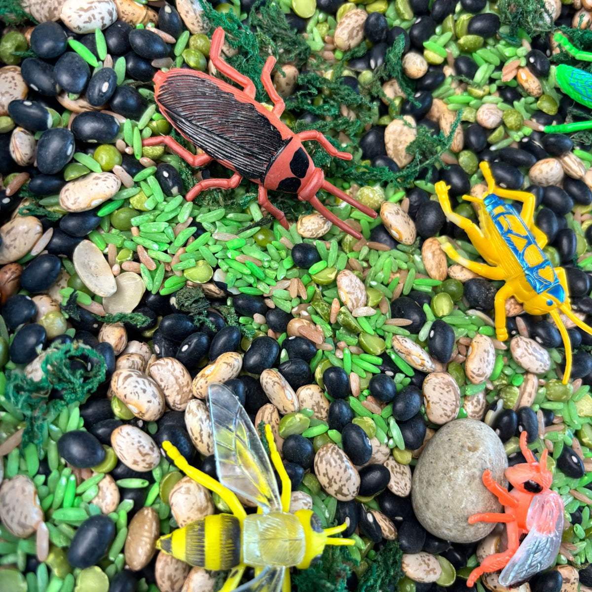 Bug Hunt Sensory Kit | Preschool Nature Sensory Bin | Fine Motor & Counting Activity