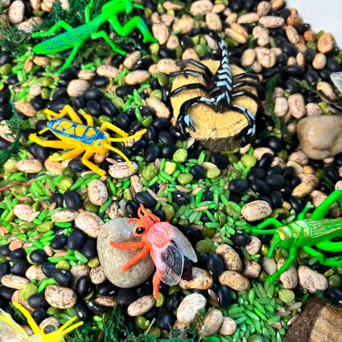 Bug Hunt Sensory Kit | Preschool Nature Sensory Bin | Fine Motor & Counting Activity